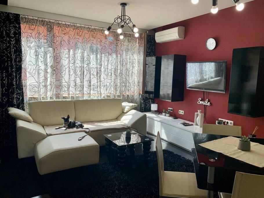 Lovely Sofia Apartment Katerina With Free Parking Eksteriør bilde