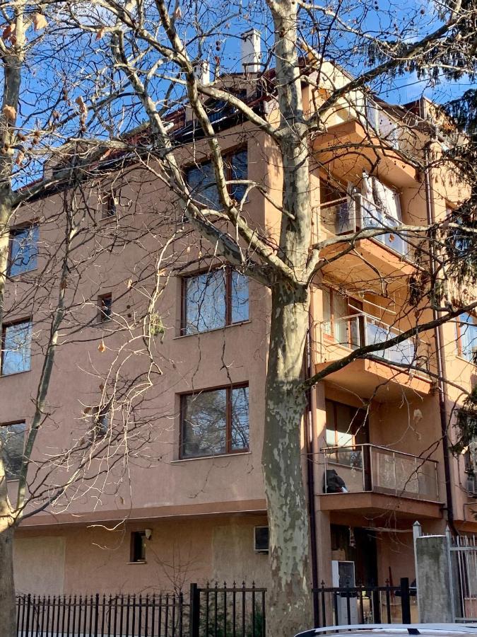 Lovely Sofia Apartment Katerina With Free Parking Eksteriør bilde